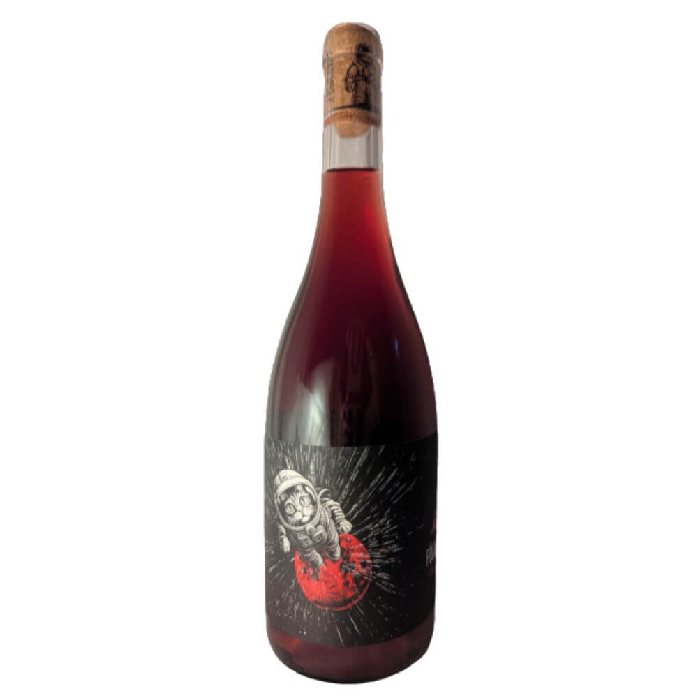 Felicette Light Speed Clairette - Latitude Wine & Liquor Merchant